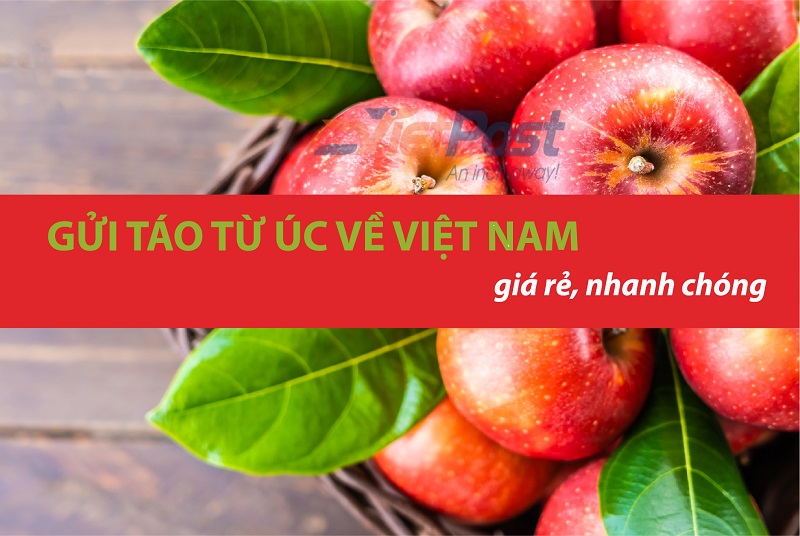 Vận chuyển táo từ Úc về Việt Nam