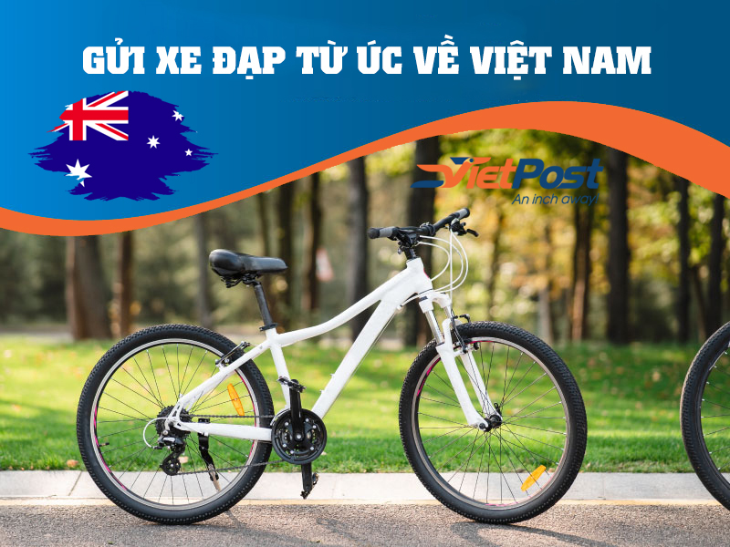  Dịch vụ gửi xe đạp từ Úc về Việt Nam gồm 2 hình thức cơ bản