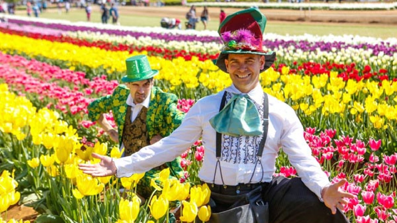 Du lịch Úc không thể bỏ qua lễ hội hoa tulip ở Melbourne