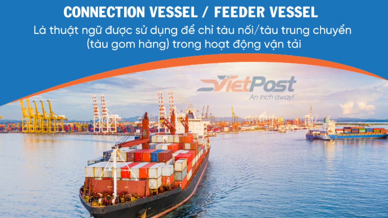 Feeder Vessel là gì? Những thông tin bạn cần biết